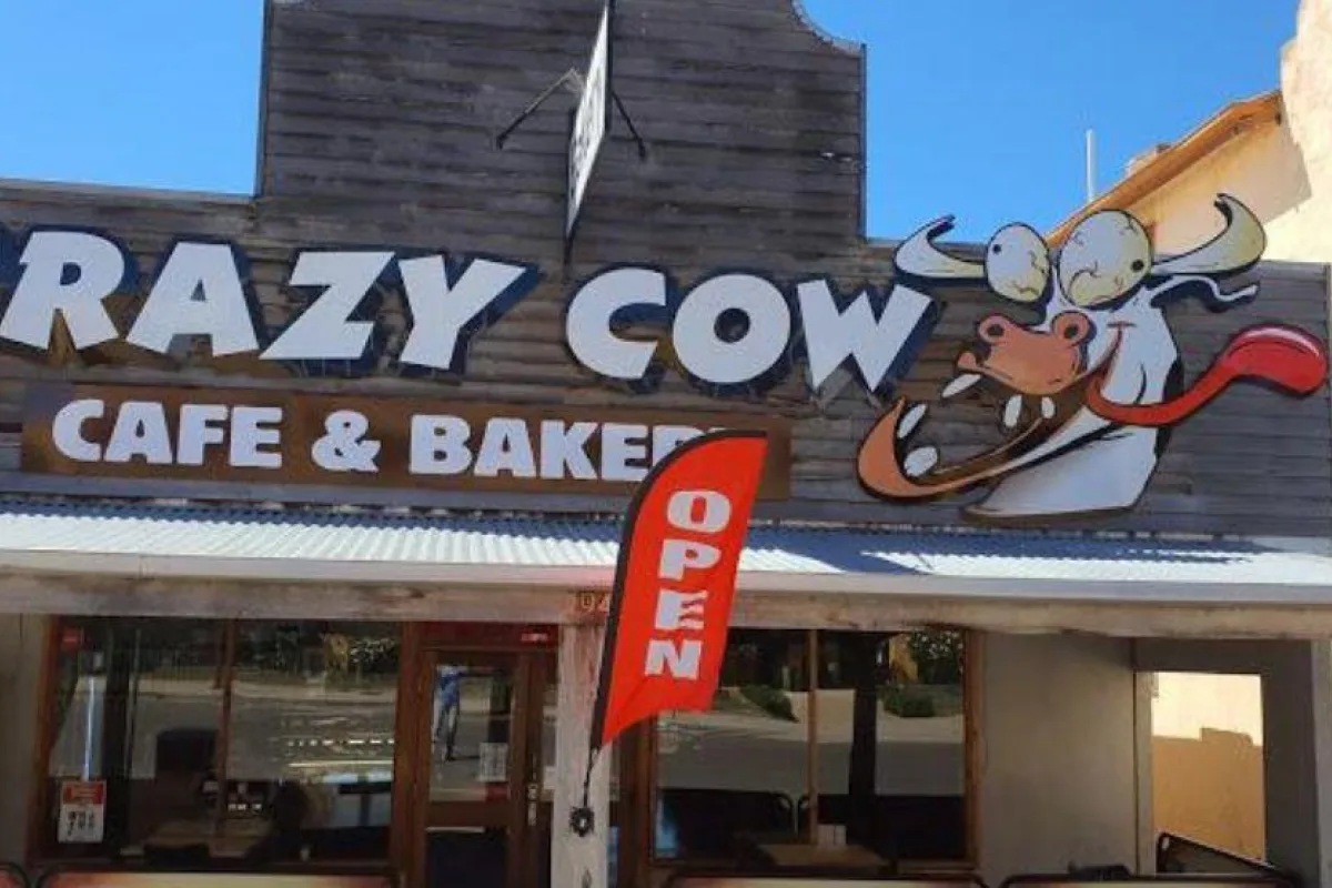 Crazy cow