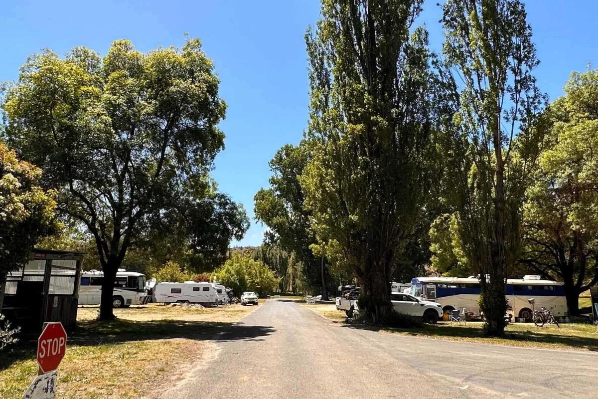 0021 d a ohp nov2023 lg